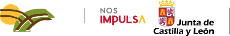 Logo Nos Impulsa JCyL